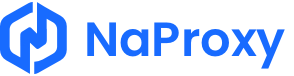 NaProxy logo